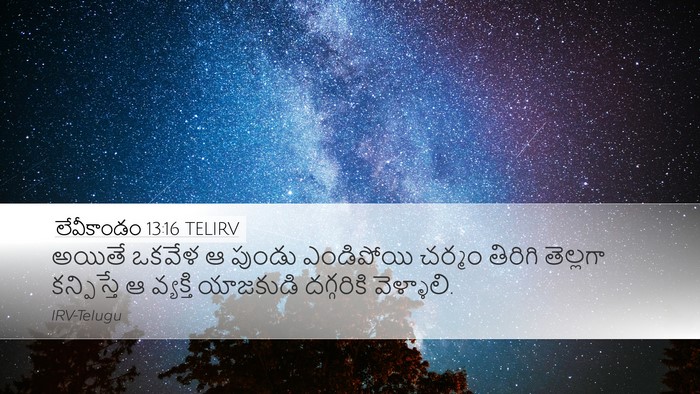 లేవీకాండం 13:16 TELIRV Desktop Wallpaper - అయితే ఒకవేళ ఆ - Desktop Bible Verse Wallpaper