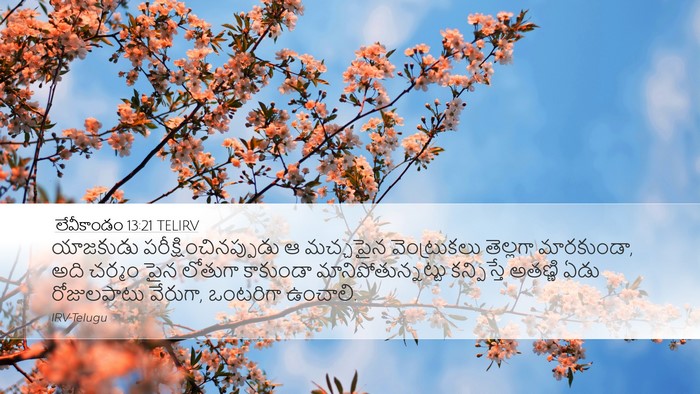 లేవీకాండం 13:21 TELIRV Desktop Wallpaper - యాజకుడు - Desktop Bible Verse Wallpaper