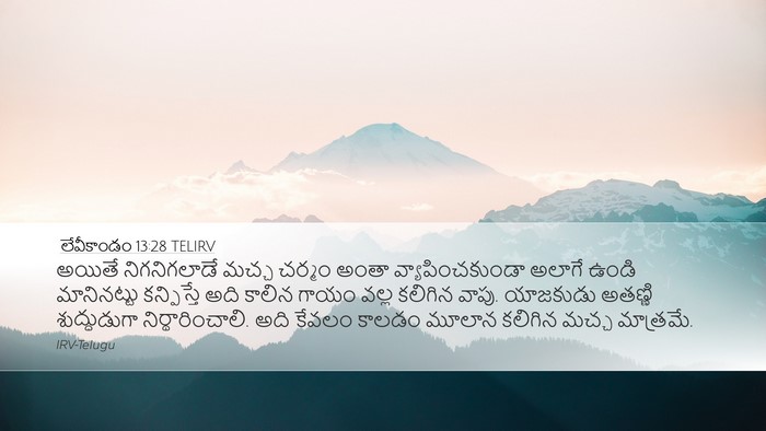 లేవీకాండం 13:28 TELIRV Desktop Wallpaper - అయితే నిగనిగలాడే - Desktop Bible Verse Wallpaper