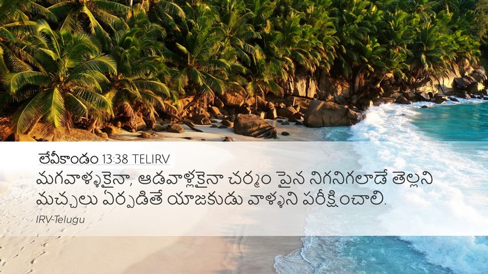 లేవీకాండం 13:38 TELIRV Desktop Wallpaper - మగవాళ్ళకైనా, - Desktop Bible Verse Wallpaper