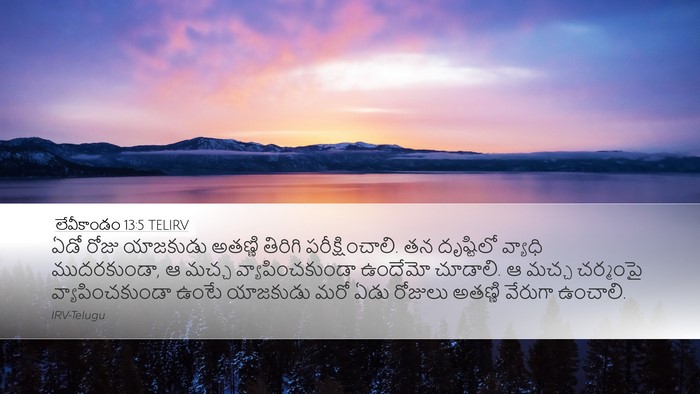 లేవీకాండం 13:5 TELIRV Desktop Wallpaper - ఏడో రోజు యాజకుడు - Desktop Bible Verse Wallpaper