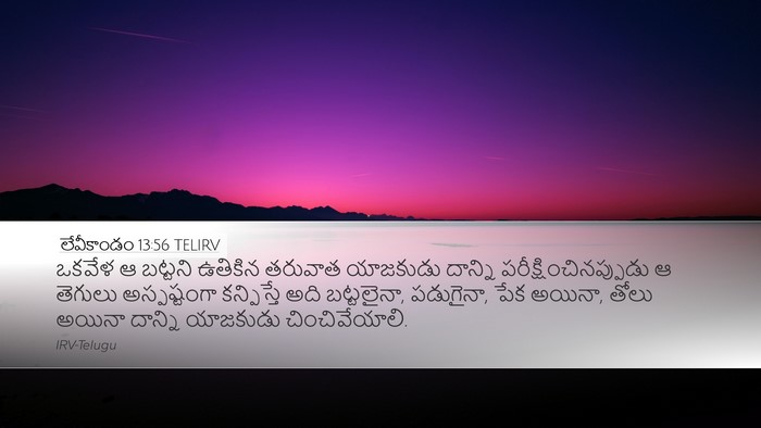లేవీకాండం 13:56 TELIRV Desktop Wallpaper - ఒకవేళ ఆ బట్టని - Desktop Bible Verse Wallpaper