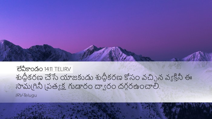 లేవీకాండం 14:11 TELIRV Desktop Wallpaper - శుద్ధీకరణ చేసే - Desktop Bible Verse Wallpaper