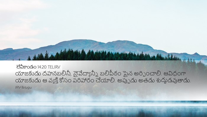 లేవీకాండం 14:20 TELIRV Bible Verse Image