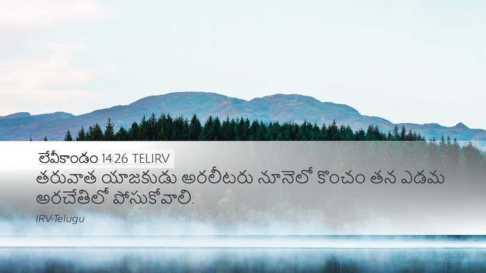 లేవీకాండం 14:26 TELIRV Desktop Wallpaper - తరువాత యాజకుడు - Desktop Bible Verse Wallpaper