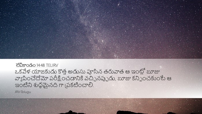 లేవీకాండం 14:48 TELIRV Desktop Wallpaper - ఒకవేళ యాజకుడు - Desktop Bible Verse Wallpaper