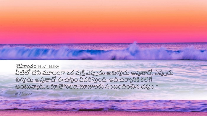లేవీకాండం 14:57 TELIRV Desktop Wallpaper - వీటిలో దేని - Desktop Bible Verse Wallpaper