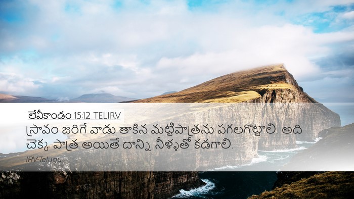 లేవీకాండం 15:12 TELIRV Bible Verse Image