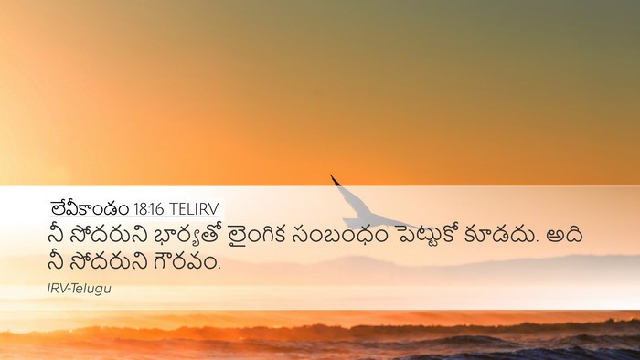 లేవీకాండం 18:16 TELIRV Bible Verse Image