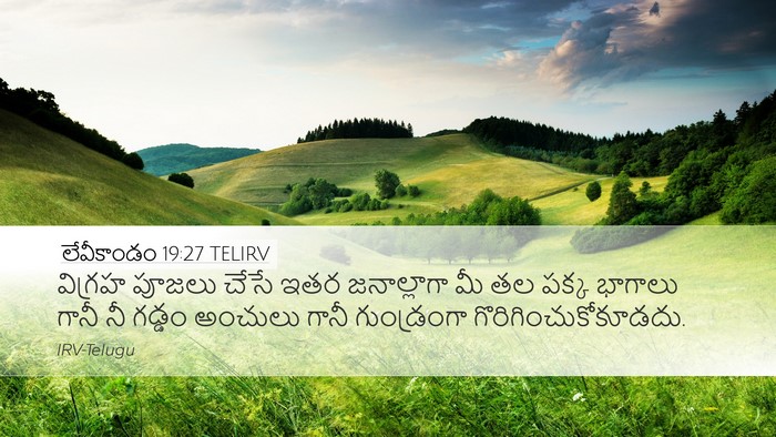 లేవీకాండం 19:27 TELIRV Bible Verse Image