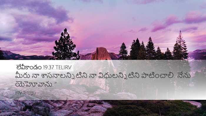 లేవీకాండం 19:37 TELIRV Bible Verse Image