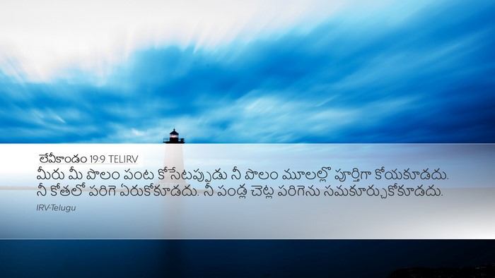 లేవీకాండం 19:9 TELIRV Bible Verse Image