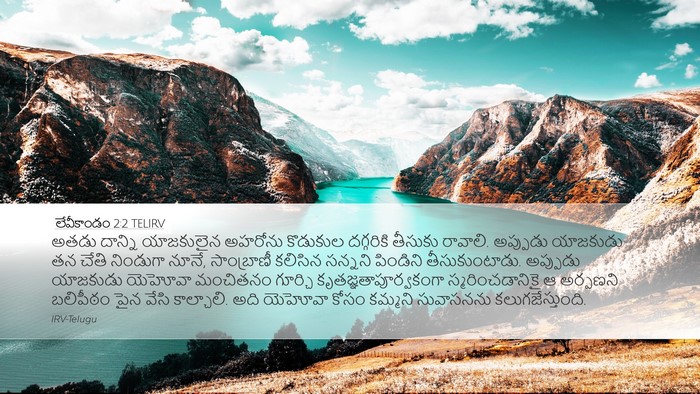 లేవీకాండం 2:2 TELIRV Bible Verse Image