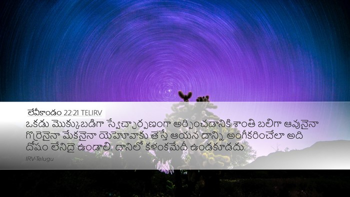 లేవీకాండం 22:21 TELIRV Bible Verse Image
