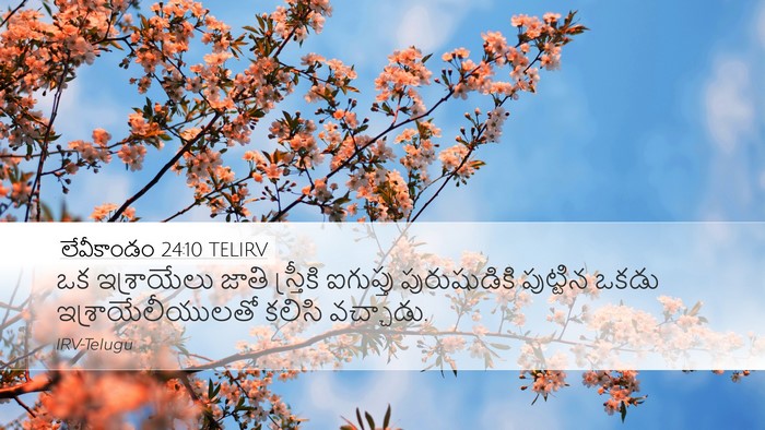 లేవీకాండం 24:10 TELIRV Bible Verse Image