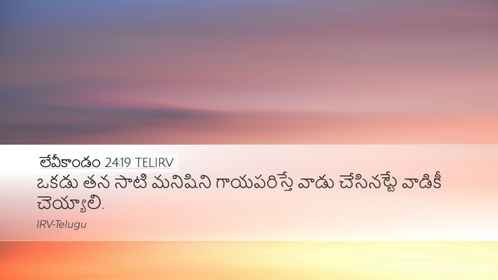 లేవీకాండం 24:19 TELIRV Bible Verse Image