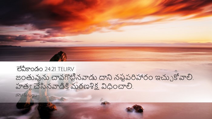 లేవీకాండం 24:21 TELIRV Bible Verse Image