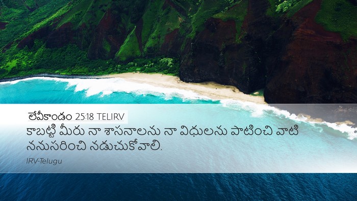 లేవీకాండం 25:18 TELIRV Bible Verse Image