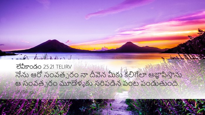 లేవీకాండం 25:21 TELIRV Bible Verse Image