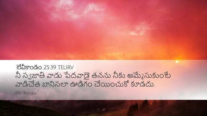 లేవీకాండం 25:39 TELIRV Bible Verse Image