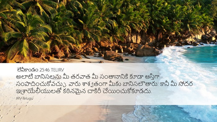 లేవీకాండం 25:46 TELIRV Bible Verse Image