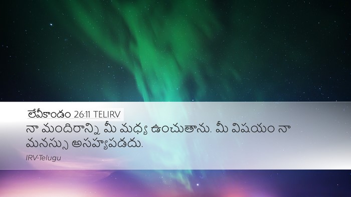 లేవీకాండం 26:11 TELIRV Bible Verse Image