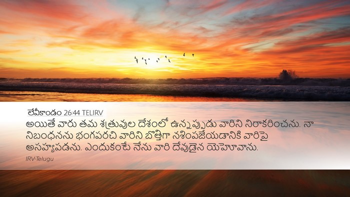 లేవీకాండం 26:44 TELIRV Bible Verse Image
