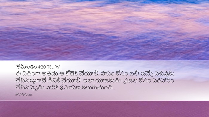 లేవీకాండం 4:20 TELIRV Bible Verse Image