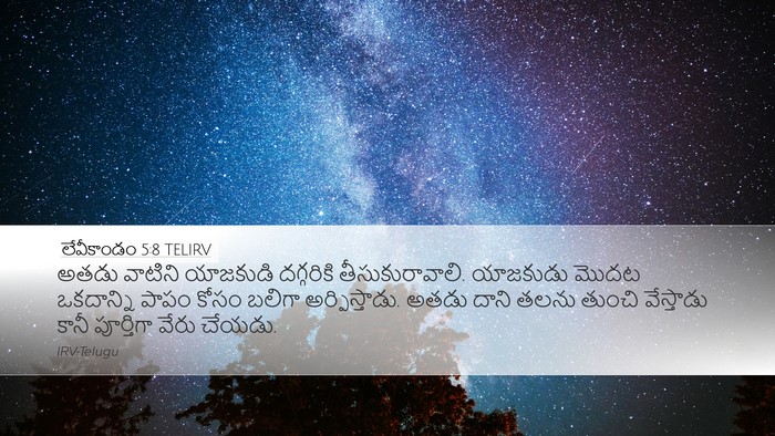 లేవీకాండం 5:8 TELIRV Bible Verse Image