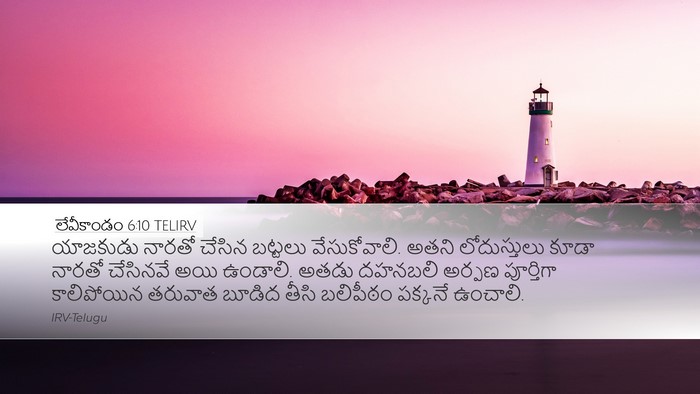 లేవీకాండం 6:10 TELIRV Bible Verse Image