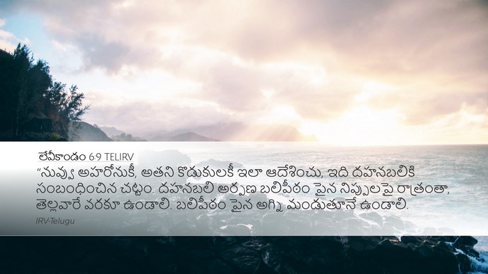 లేవీకాండం 6:9 TELIRV Bible Verse Image