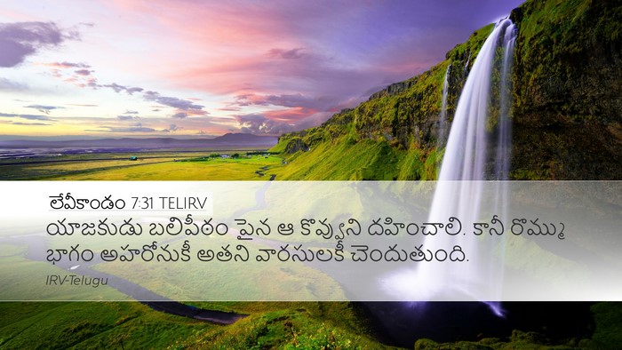 లేవీకాండం 7:31 TELIRV Bible Verse Image