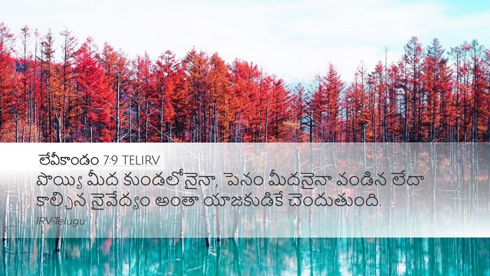 లేవీకాండం 7:9 TELIRV Bible Verse Image