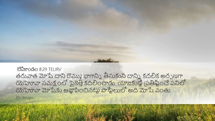 లేవీకాండం 8:29 TELIRV Bible Verse Image