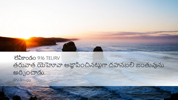 లేవీకాండం 9:16 TELIRV Desktop Wallpaper - తరువాత యెహోవా - Desktop Bible Verse Wallpaper