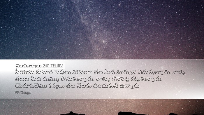 విలాపవాక్యాలు 2:10 TELIRV Bible Verse Image