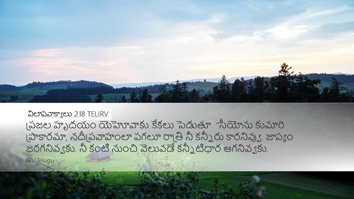 విలాపవాక్యాలు 2:18 TELIRV Bible Verse Image