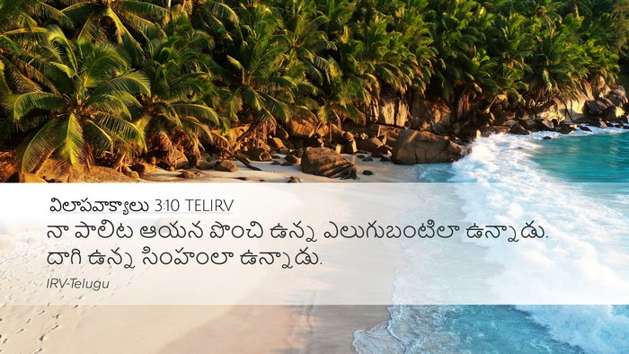 విలాపవాక్యాలు 3:10 TELIRV Bible Verse Image