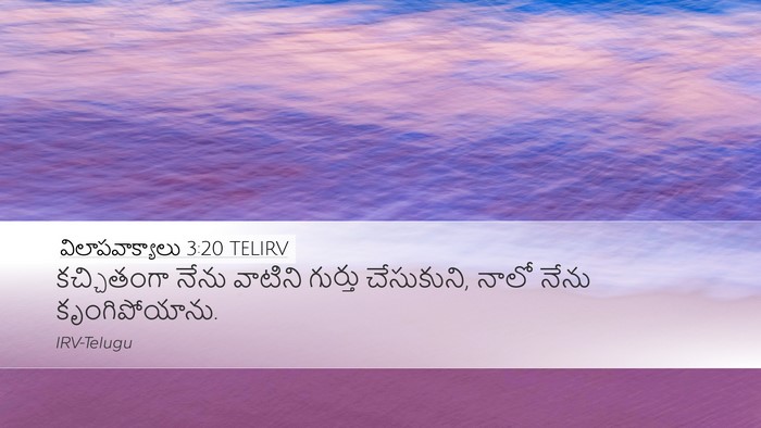 విలాపవాక్యాలు 3:20 TELIRV Bible Verse Image