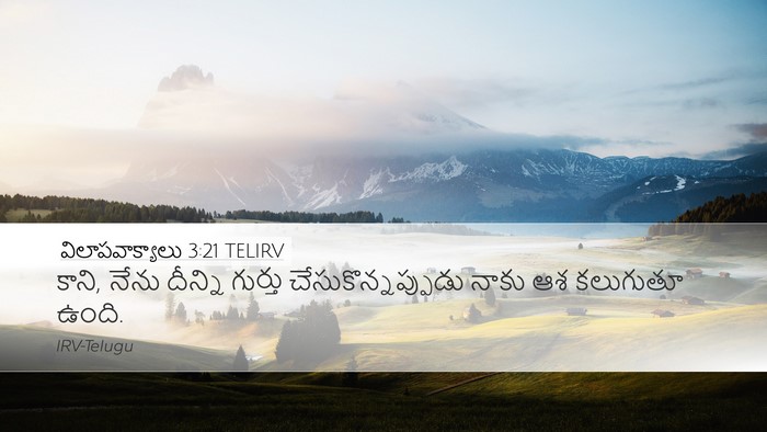 విలాపవాక్యాలు 3:21 TELIRV Bible Verse Image