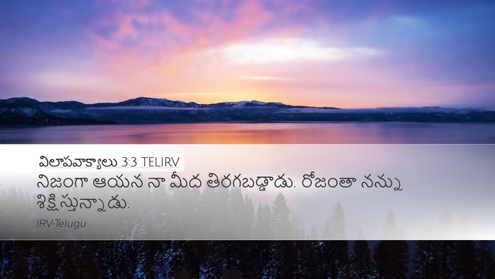 విలాపవాక్యాలు 3:3 TELIRV Bible Verse Image