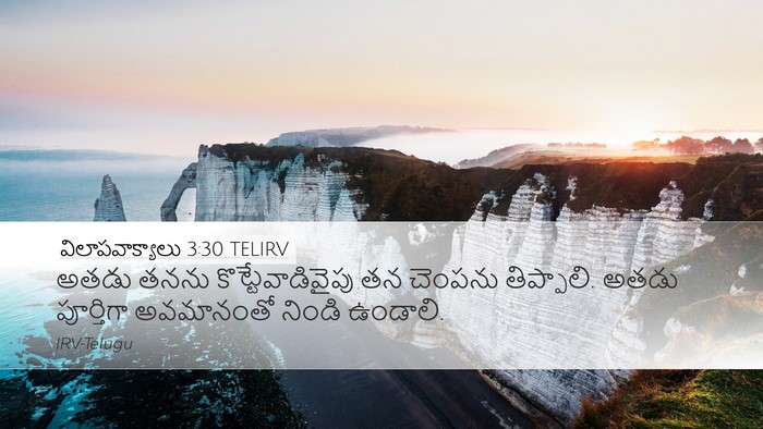 విలాపవాక్యాలు 3:30 TELIRV Bible Verse Image
