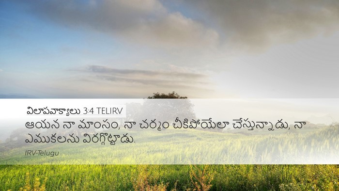 విలాపవాక్యాలు 3:4 TELIRV Bible Verse Image
