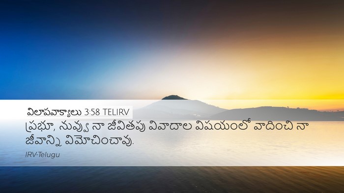 విలాపవాక్యాలు 3:58 TELIRV Bible Verse Image