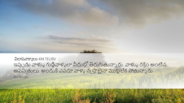 విలాపవాక్యాలు 4:14 TELIRV Desktop Wallpaper - ఇప్పుడు వాళ్ళు - Desktop Bible Verse Wallpaper