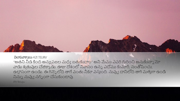విలాపవాక్యాలు 4:21 TELIRV Bible Verse Image