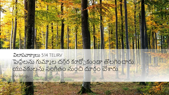 విలాపవాక్యాలు 5:14 TELIRV Bible Verse Image
