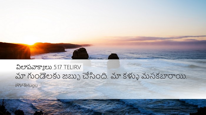 విలాపవాక్యాలు 5:17 TELIRV Bible Verse Image