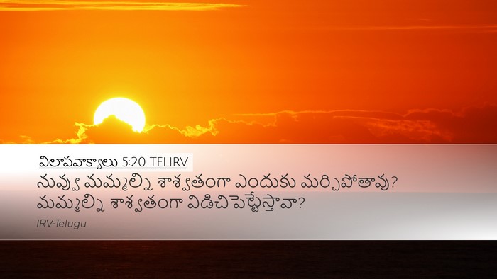 విలాపవాక్యాలు 5:20 TELIRV Bible Verse Image