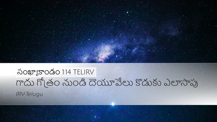 సంఖ్యాకాండం 1:14 TELIRV Bible Verse Image